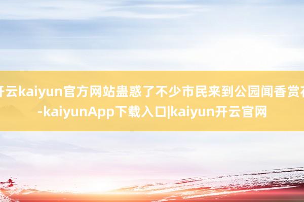 开云kaiyun官方网站蛊惑了不少市民来到公园闻香赏花-kaiyunApp下载入口|kaiyun开云官网