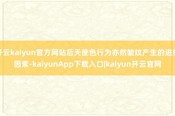 开云kaiyun官方网站后天使色行为亦然皱纹产生的进犯因素-kaiyunApp下载入口|kaiyun开云官网